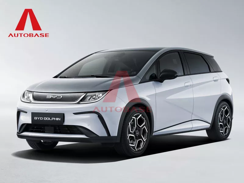 Byd golfinho