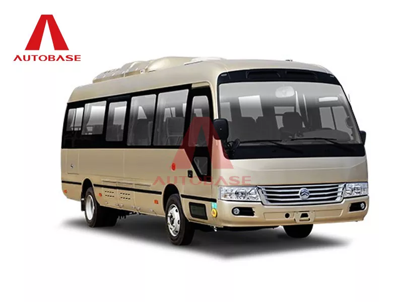 Grande montanha -russa D8 Pure Electric